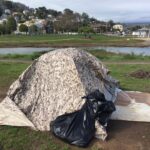 Tent - Marin County, California