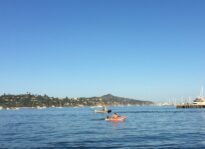 Richardson Bay Anchor Outs - Nikki Silverstein