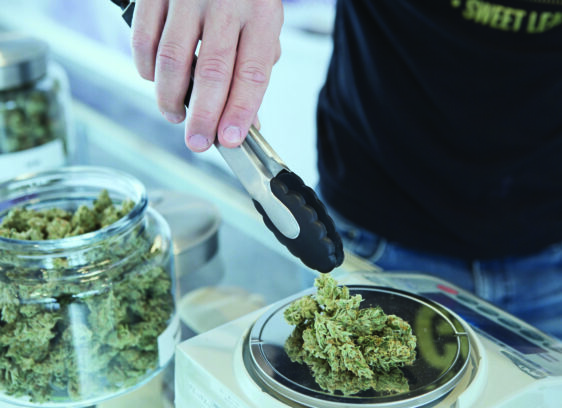 North Bay Cities Take Differing Approaches to Cannabis Dispensaries