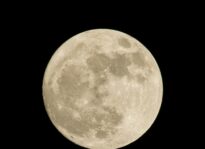 FREE WILL ASTROLOGY Click to read