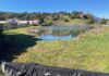 Marin City pond