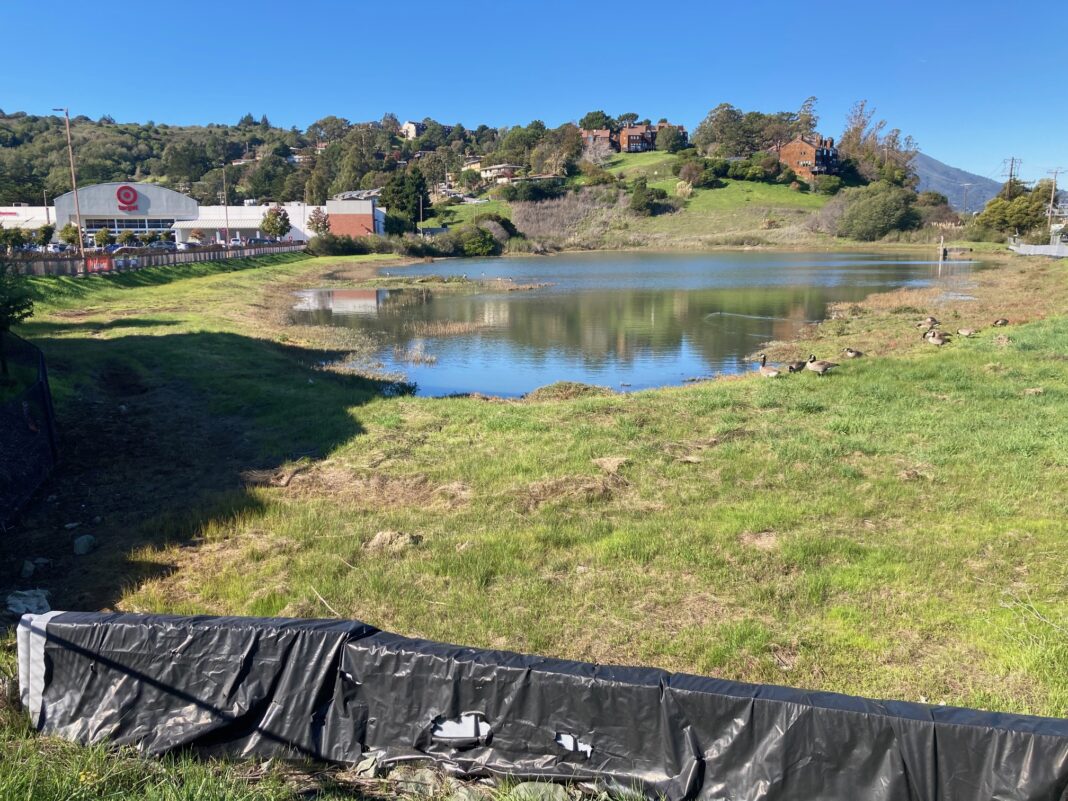 Marin City pond