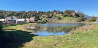 Marin City pond