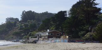 Bolinas - Flamenc via Wikimedia Commons