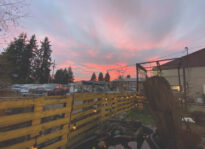 Seattle or Bust — Finding Winter in the Heart of Spring Click to read