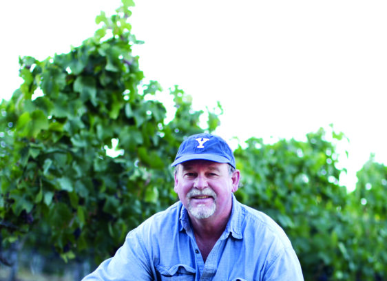Drought Affects Petaluma Viticulture