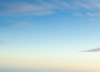 You’ve Already Made It, Marin