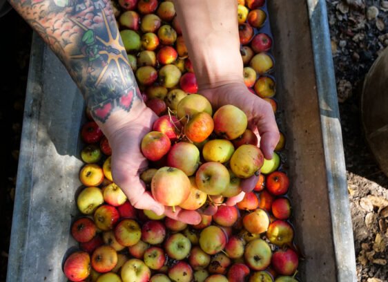 Culture Crush—Indigenous Voices, Farm Trails Fall and More