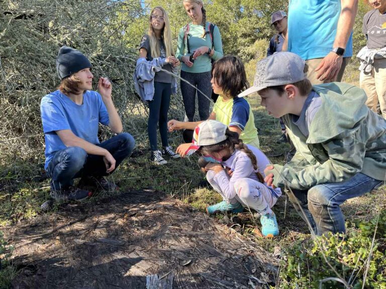 ‘One Tam’ Plan: Mt. Tamalpais habitat restoration