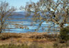 China Camp - King tide - Chelsea Kurnick