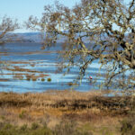 China Camp - King tide - Chelsea Kurnick