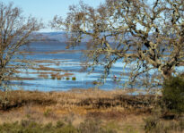 King tides offer North Bay residents a preview of sea level rise China Camp - King tide - Chelsea Kurnick
