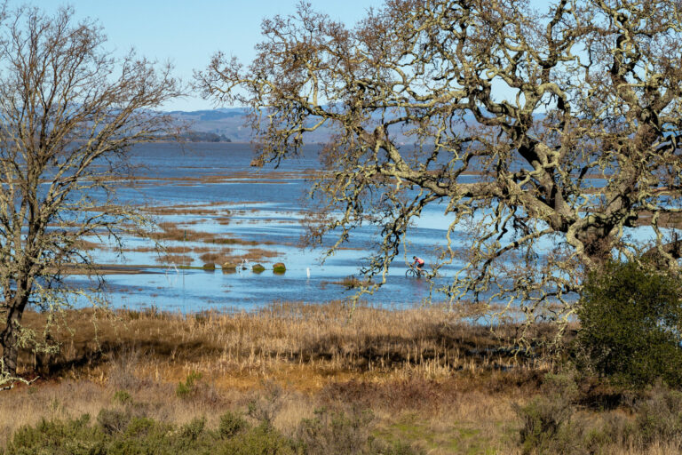 King tides offer North Bay residents a preview of sea level rise