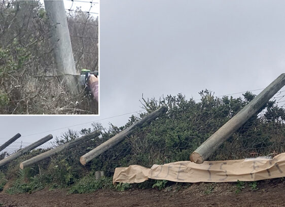 Point Reyes Fence Killer Confesses in Anonymous Letter @iliketuleelk/Twitter - Point Reyes National Seashore fence