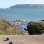 Point Reyes National Seashore B Ranch seals - Peter Byrne