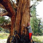 Albert Flynn DeSilver - Singletrack Mind