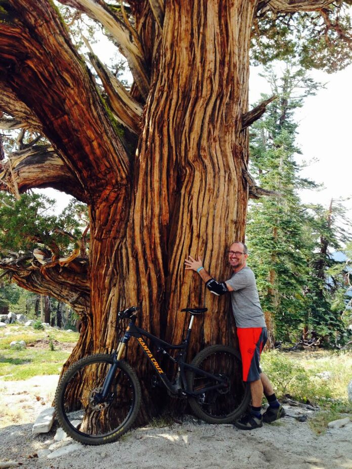 Albert Flynn DeSilver - Singletrack Mind