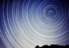 rob brezsny free will astrology