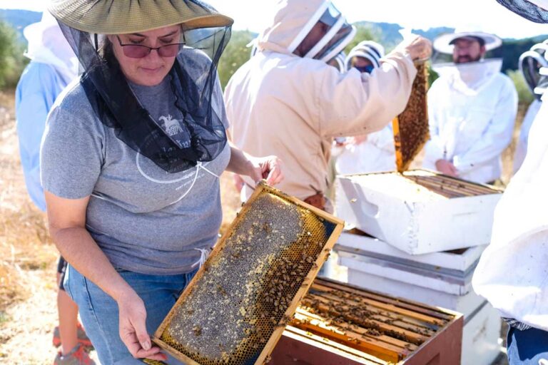 Need for Mead: Point Reyes Station’s Heidrun Meadery