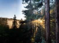 The Best of Marin 2023