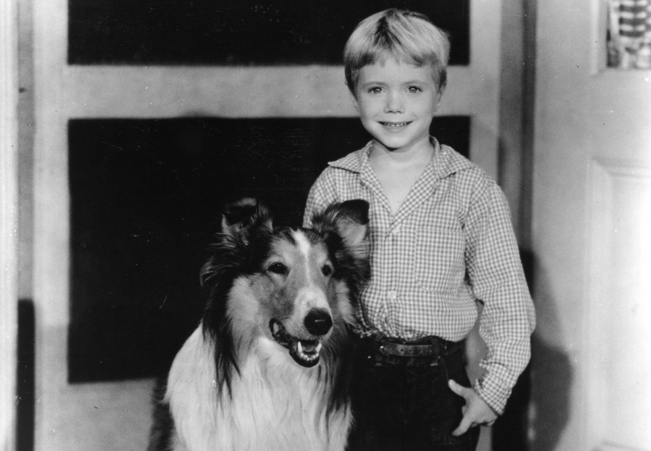 Screen Time: 'Lassie' star Jon Provost to appear at cannabis convention