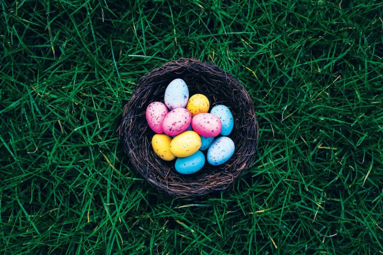 To Dye For: Natural Easter Egg Dyes