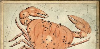 Free Will Astrology: Week of July 3