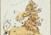Free Will Astrology: Week of Aug. 14