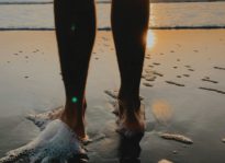 Best Way to Mitigate the Effects of Climate Change With Saltwater