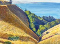 Beach & Brush: Stinson Artist Michael Knowlton