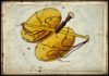 Free Will Astrology: Week of Oct. 9