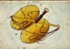 Free Will Astrology: Week of Oct. 2