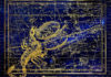 Free Will Astrology: Week of Nov. 13