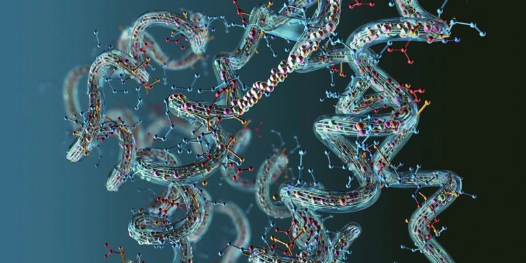 AICAR Peptide And The Energy Metabolism Of Different Cell Types