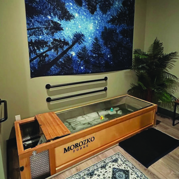 Taking the Plunge: A Song of Ice and Fire