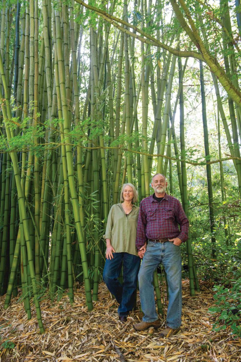 Fast and Slow, Jennifer York and Joe Ruffatto of Bamboo Sourcery