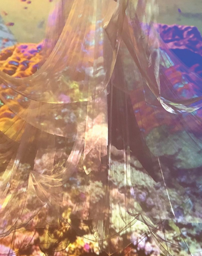 'Hold Fast’ exhibit at Bolinas Museum