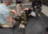The WRAP restraint system
