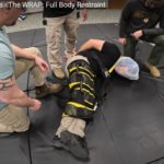 The WRAP restraint system
