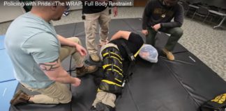 The WRAP restraint system