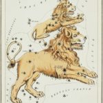 Free Will Astrology: Week of Aug. 13