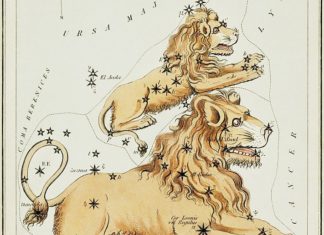 Free Will Astrology: Week of Aug. 13