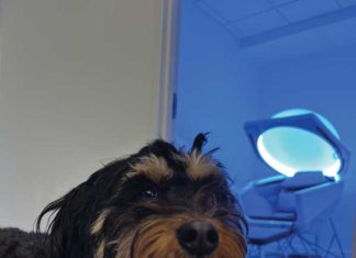 Best Path to Beauty is Health