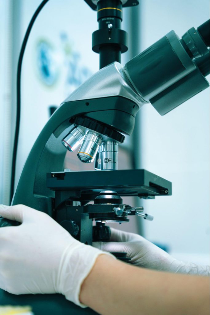 Livagen peptide research