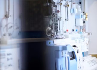 Livagen peptide research