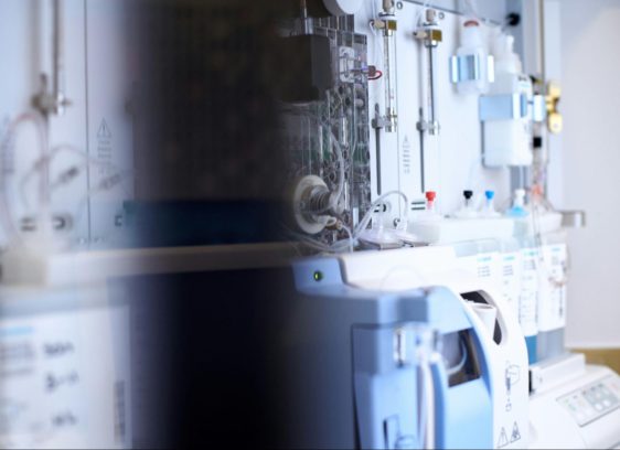 Livagen peptide research