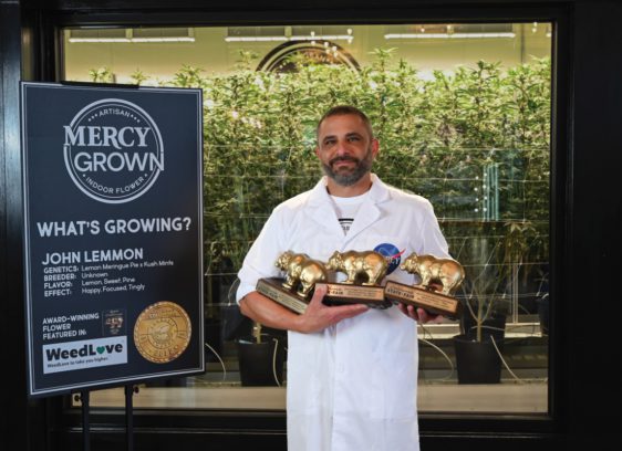 Brandon Levine, founder and owner pf Mercy Wellness, a cannabis company