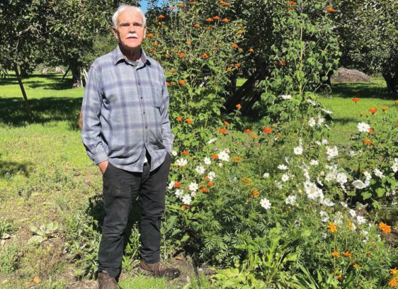 The Butterfly Effect with Hallberg’s Board President Donald L. Mahoney Donald Mahoney standing near flowers that attract butterflies to the garden.