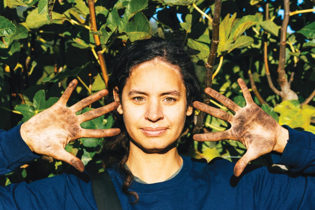 Common Ground Soil Services