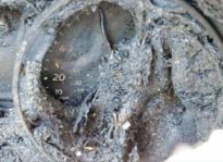 Questions emerge after DA files charge against teen driver for fatal crash